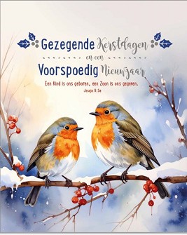 Kerstkaarten 9563